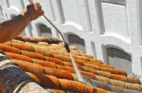 Nettoyage de toitures - Miserey-Salines